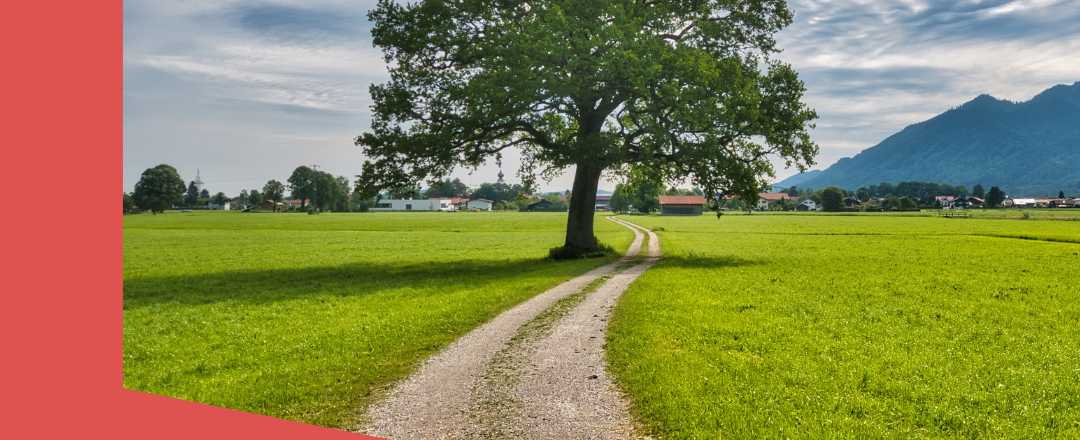 Zwischen Präsenz und Perfektion - wo bleibst Du?