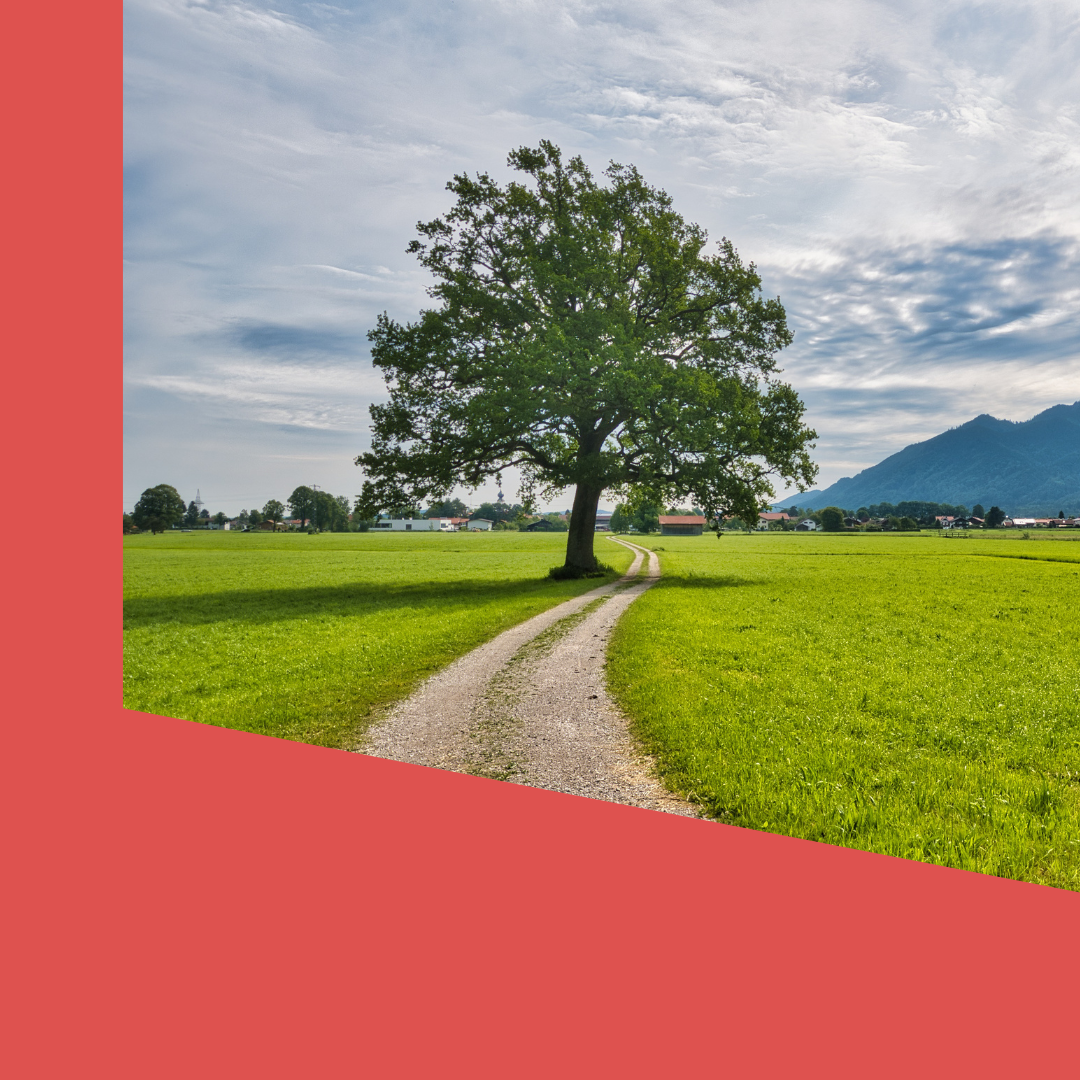 Zwischen Präsenz und Perfektion - wo bleibst Du?