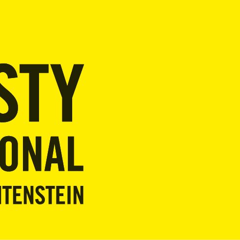 Amnesty International im Einsatz für Menschenrechte in Gaza und Israel