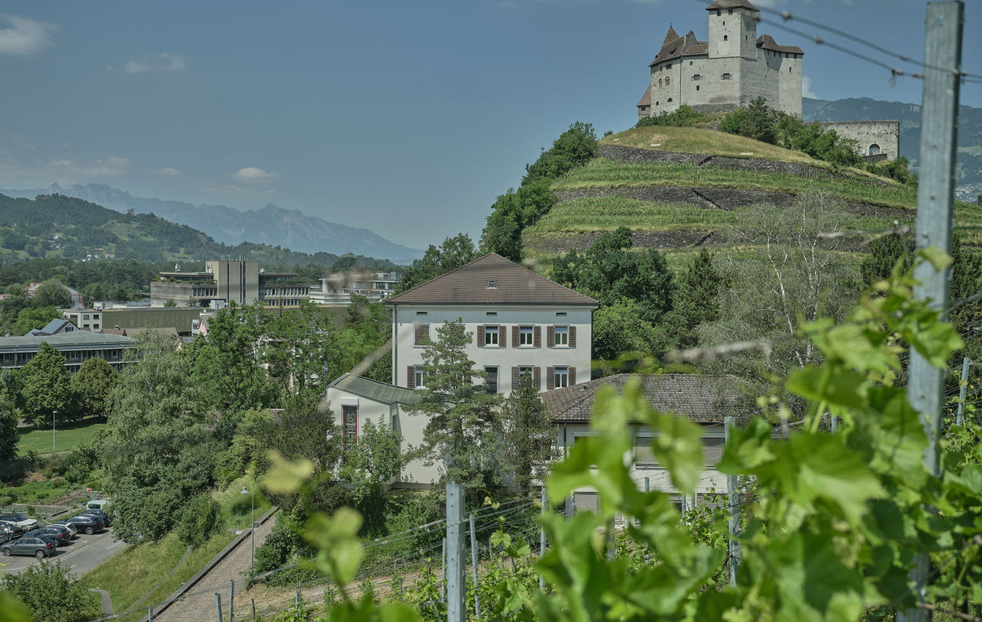 Haus Gutenberg Weinberg