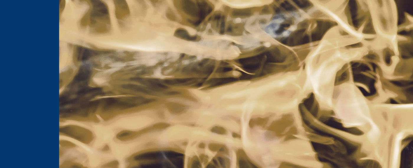 Brandstifter und ihre Mitläufer