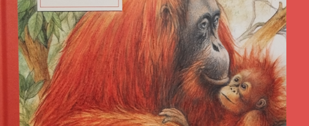 Das grosse Buch der bedrohten Tierarten mit Radek