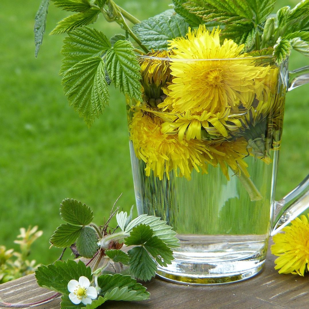 Detox - dein Frühjahrsputz mit Ayurveda