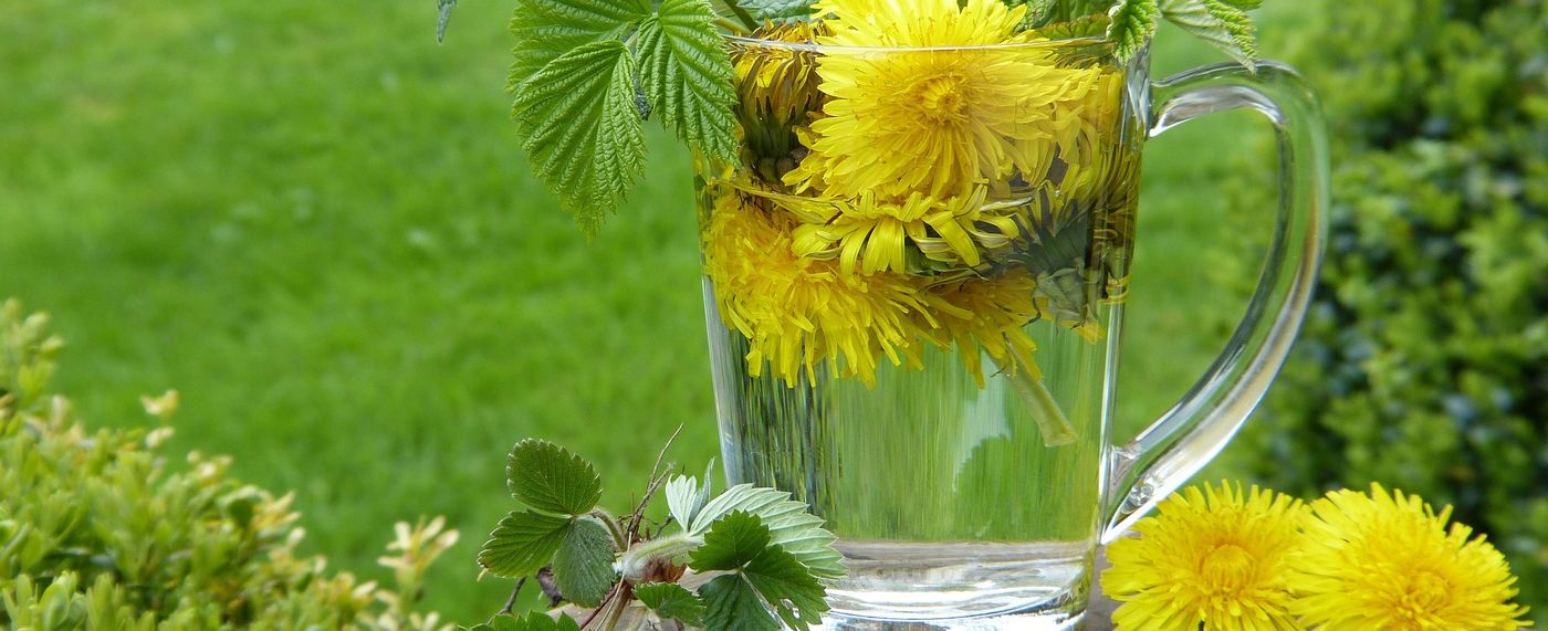 Detox - dein Frühjahrsputz mit Ayurveda