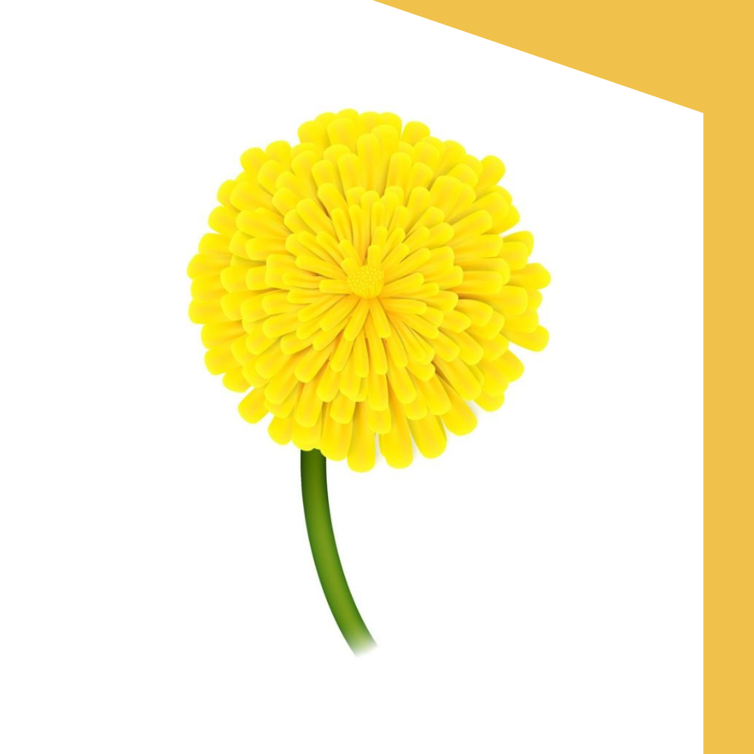 Entfalte dein Potenzial !